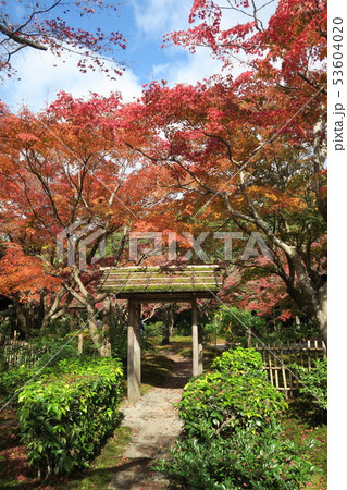 万博記念公園～汎庵・万里庵の紅葉～ 53604020