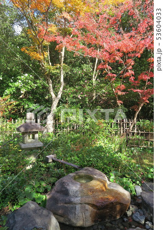 万博記念公園～汎庵・万里庵の紅葉～ 53604033