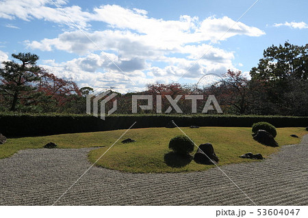 万博記念公園～千里庵の紅葉～ 53604047