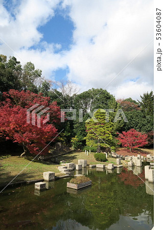 万博記念公園 旋律の鯉池の紅葉 の写真素材