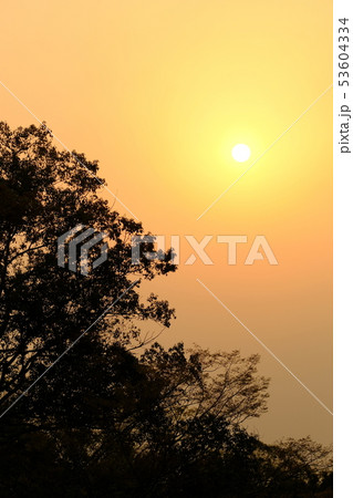 夕日 53604334