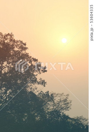 夕日 53604335