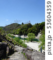 賤母の森川と緑の公園 53604359
