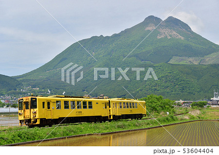 由布岳と黄色い列車 由布岳と黄色い列車 53604404
