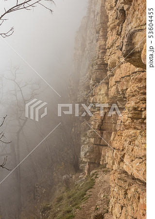 trees and rock cliff in the mist, hiking in Mezmay trees and rock cliff in the mist, hiking in Mezmay 53604455