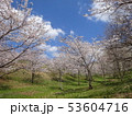 キリン水源の森 53604716