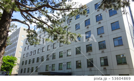 北海道大学 歯学部 北海道大学 歯学部 53604869