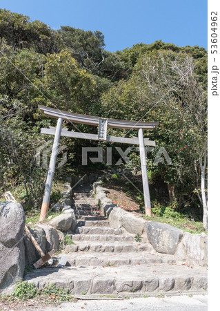 志賀海神社・鳥居 53604962