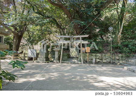 志賀海神社・山之神社 志賀海神社・山之神社 53604963