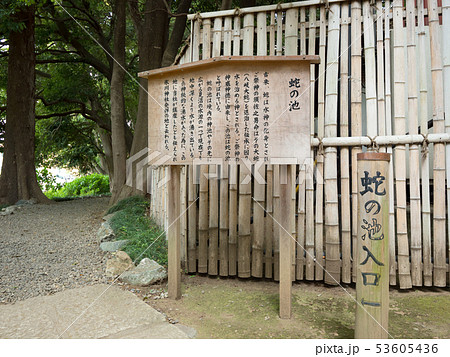 埼玉県　武蔵一宮氷川神社　蛇の池 53605436