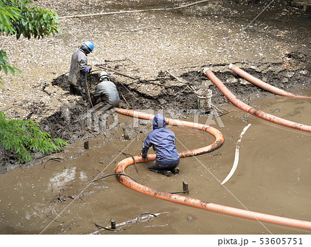 池の掻い掘り 53605751