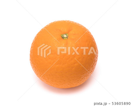 清美タンゴール 53605890