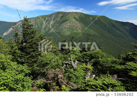 薬師岳からの早池峰山 53606202