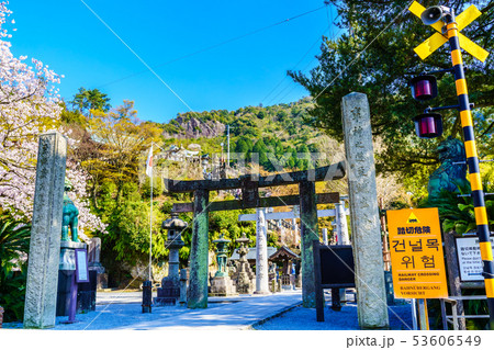 有田陶山神社の桜 【佐賀県】 有田陶山神社の桜 【佐賀県】 53606549