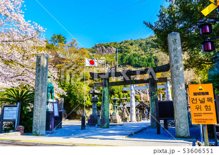有田陶山神社の桜　【佐賀県】 53606551