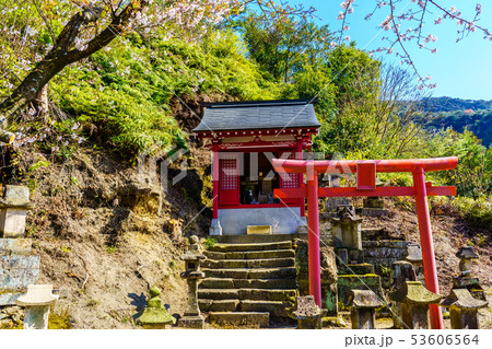 有田陶山神社の桜　【佐賀県】 53606564
