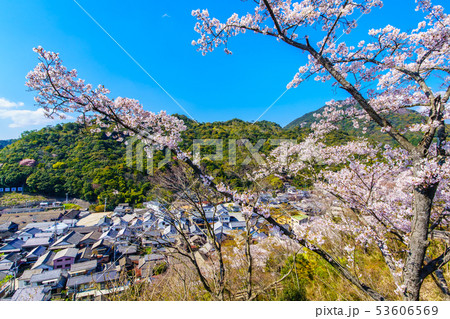 有田陶山神社の桜 【佐賀県】 有田陶山神社の桜 【佐賀県】 53606569