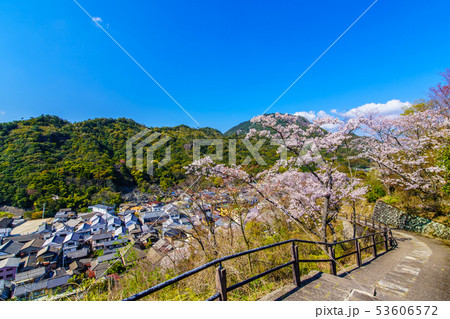 有田陶山神社の桜　【佐賀県】 53606572