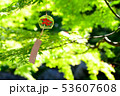 風鈴 53607608
