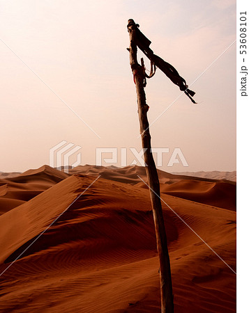 中国 新疆自治区 鄯善 クムタグ砂漠 Kumtag Desert, Xinjiang, China 中国 新疆自治区 鄯善 クムタグ砂漠 Kumtag Desert, Xinjiang, China 53608101