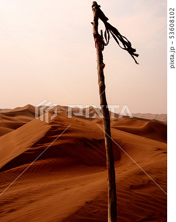 中国 新疆自治区 鄯善 クムタグ砂漠 Kumtag Desert, Xinjiang, China 中国 新疆自治区 鄯善 クムタグ砂漠 Kumtag Desert, Xinjiang, China 53608102