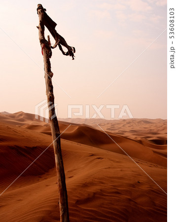 中国 新疆自治区 鄯善 クムタグ砂漠 Kumtag Desert, Xinjiang, China 53608103