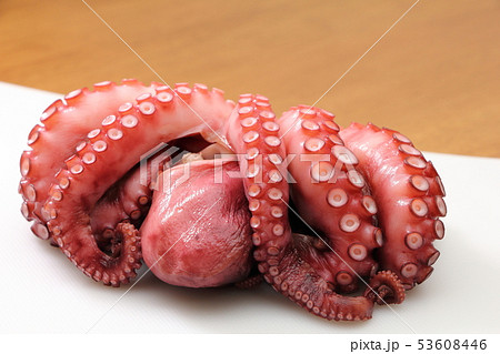 タコ(ゆでだこ)。 53608446