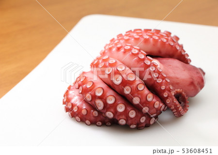 タコ(ゆでだこ)。 53608451