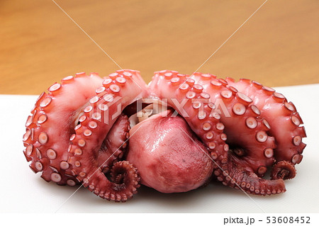 タコ(ゆでだこ)。 53608452