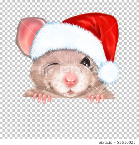 Illustration of dressed rat with red Sants hat 53610025