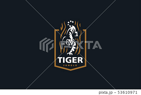 The image of a tiger 53610971