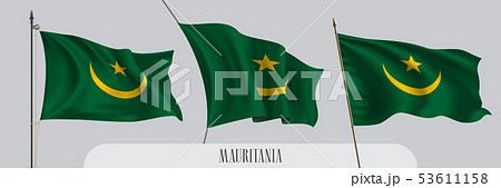 Set of Mauritania waving flag on isolated background vector illustration 53611158
