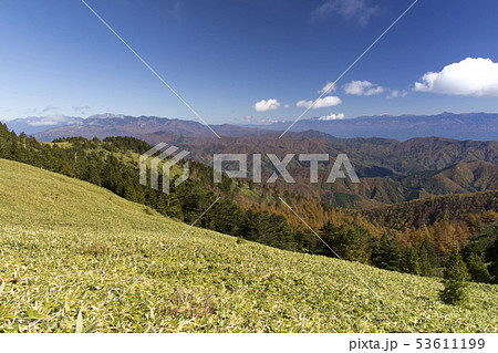 紅葉の富士見台高原／岐阜県中津川市／長野県阿智村 53611199