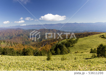 紅葉の富士見台高原／岐阜県中津川市／長野県阿智村 53611200