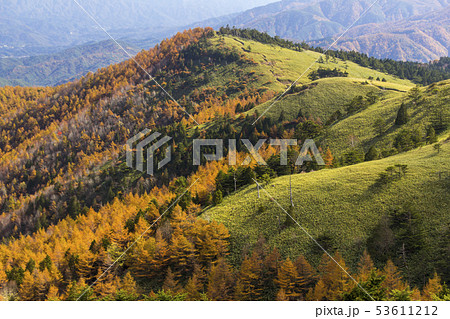 紅葉の富士見台高原／岐阜県中津川市／長野県阿智村 53611212
