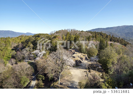 春の苗木城 53611681