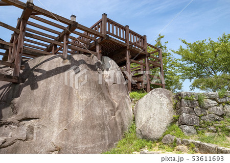 夏の苗木城 53611693