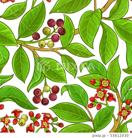 sandalwood vector pattern 53612030