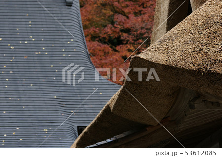 鳥取　四季の散歩　秋　紅葉　豊乗寺 53612085