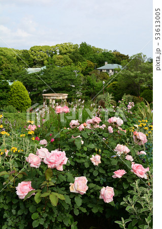 横浜・港の見える丘公園 横浜・港の見える丘公園 53613005