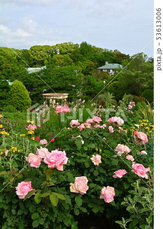 横浜・港の見える丘公園 53613006