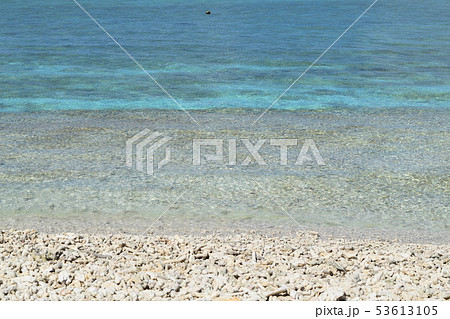 バラス島 53613105