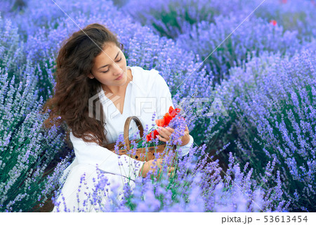 young woman with poppy is in the lavender flower 53613454