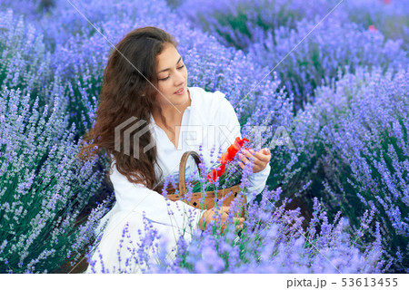 young woman with poppy is in the lavender flower 53613455