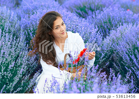 young woman with poppy is in the lavender flower 53613456
