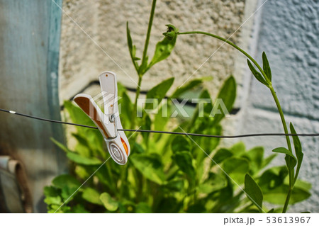 写真 背景 国内旅行 53613967