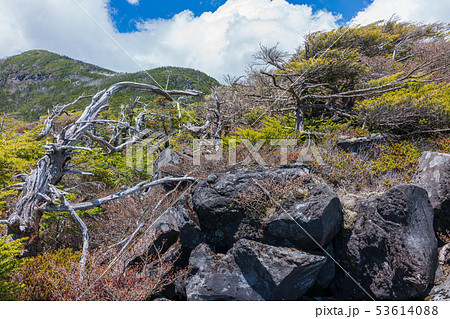 坪庭自然園：北八ヶ岳ロープウェイ　　　　茅野市 53614088