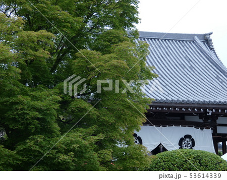 信長本廟・阿弥陀寺 信長本廟・阿弥陀寺 53614339