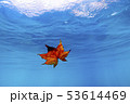 支笏湖 53614469