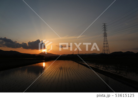 夕日に輝く筑波山 53615125